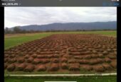 Estancia mixta en La Rioja sobre ruta 38