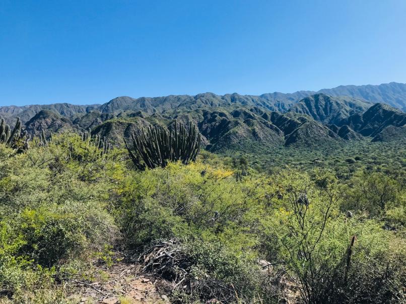 Estancia mixta en La Rioja sobre ruta 38