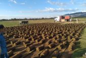 Estancia mixta en La Rioja sobre ruta 38