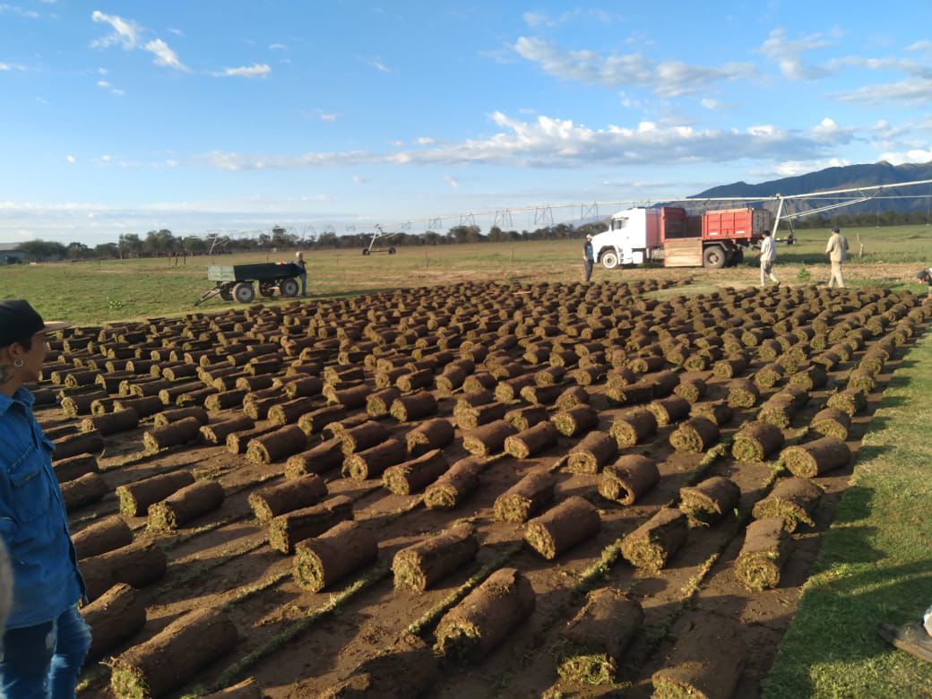 Estancia mixta en La Rioja sobre ruta 38