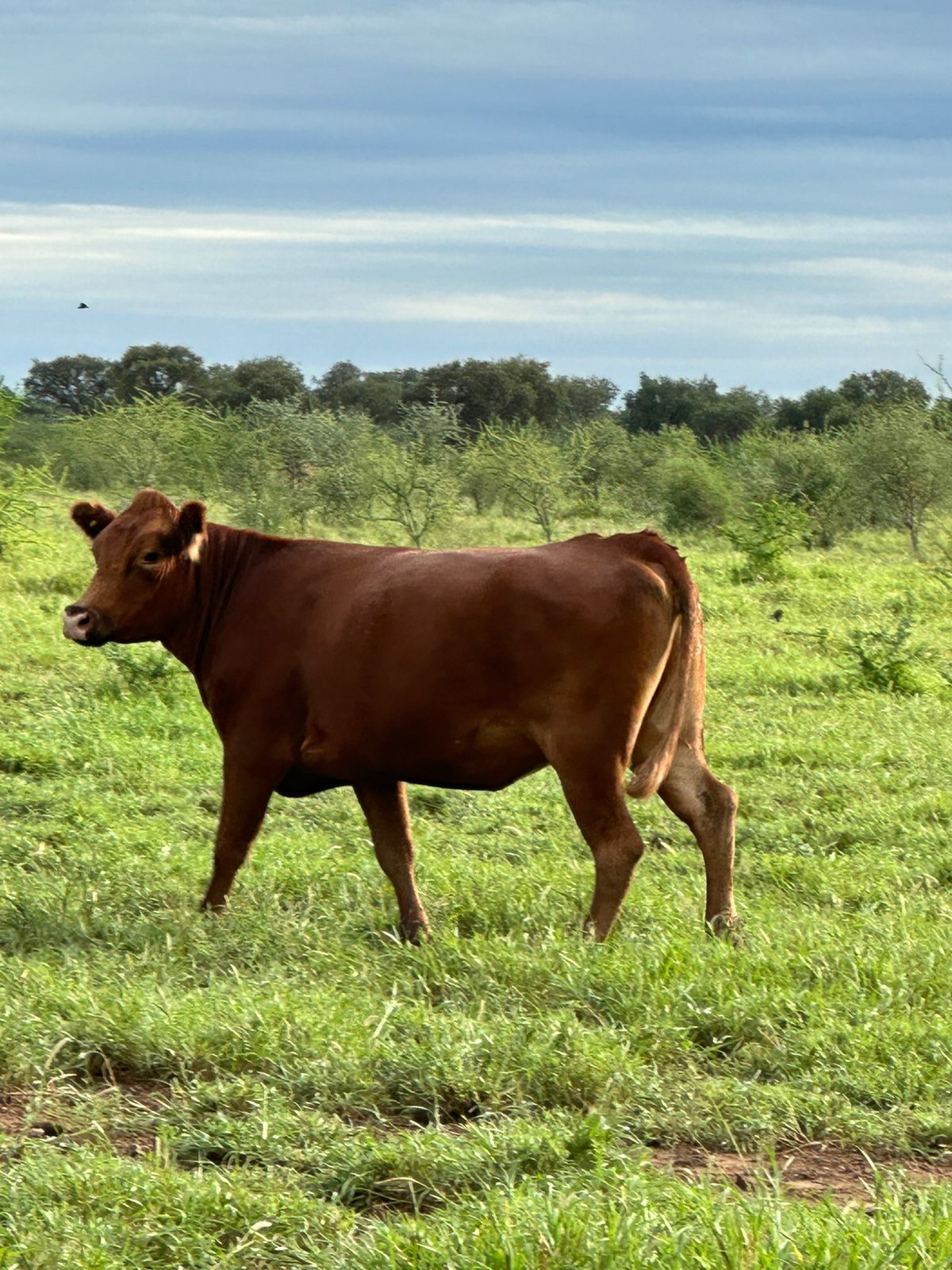 Estancia mixta en La Rioja sobre ruta 38