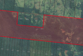 Venta de 230 Hectáreas en Municipio San José, Apóstoles, Misiones