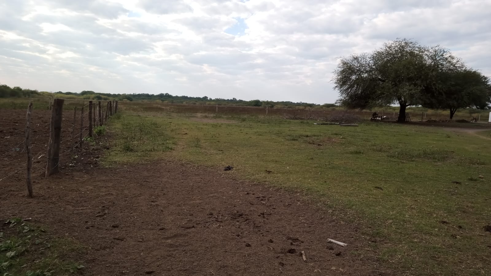 VENTA DE CAMPO EN LA ZONA DE LA LOCALIDAD DE VILLA DOS TRECE – PCIA DE FORMOSA