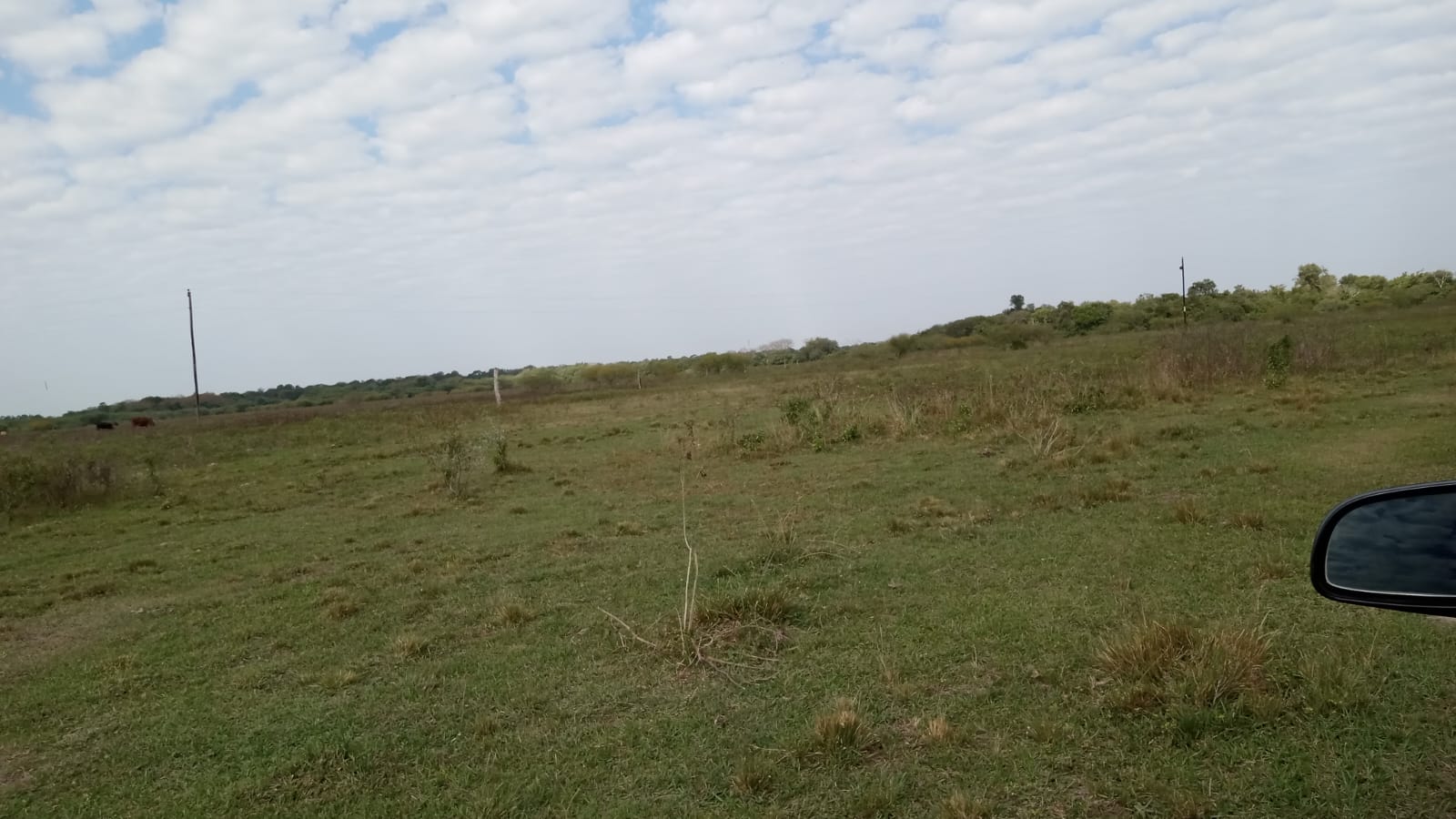 VENTA DE CAMPO EN LA ZONA DE LA LOCALIDAD DE VILLA DOS TRECE – PCIA DE FORMOSA