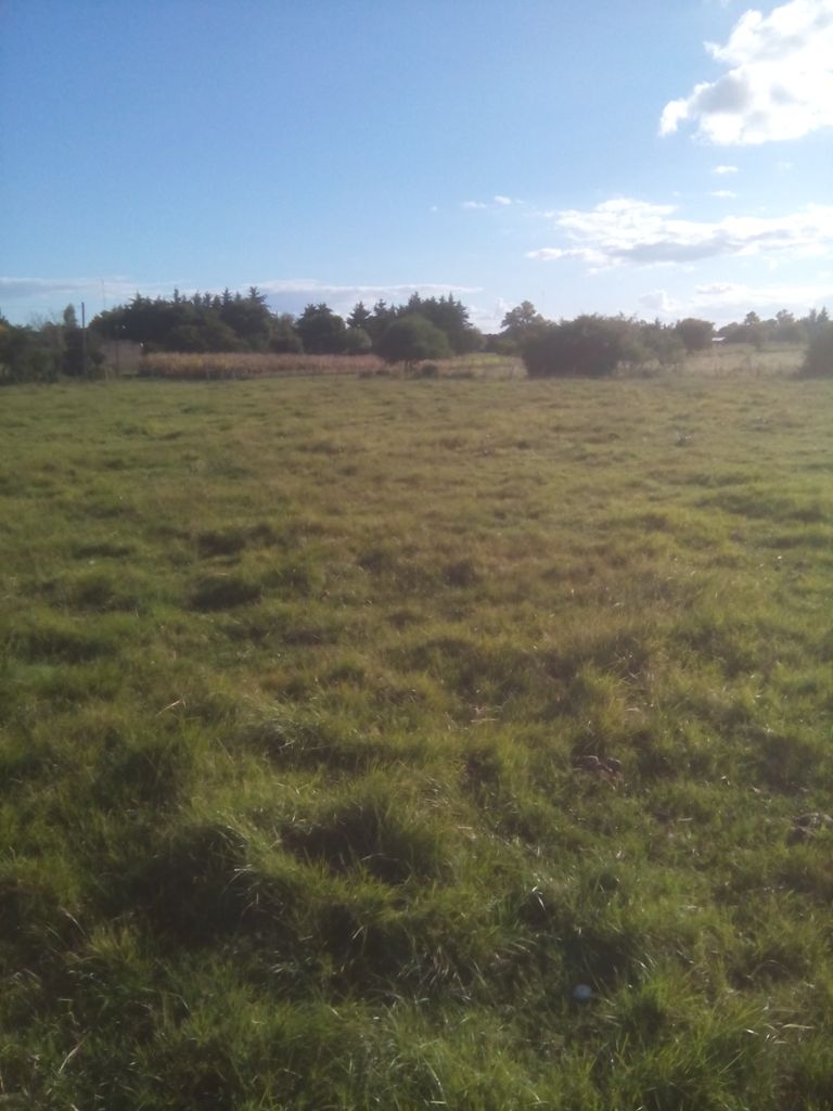 Vendo 1 Hectarea en Villa Mantero – Entre Rios