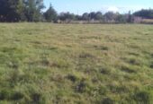 Vendo 1 Hectarea en Villa Mantero – Entre Rios