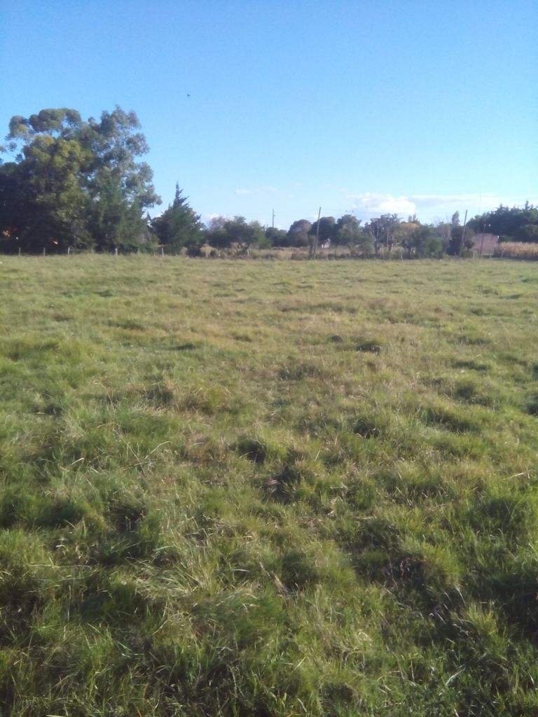 Vendo 1 Hectarea en Villa Mantero – Entre Rios