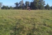 Vendo 1 Hectarea en Villa Mantero – Entre Rios