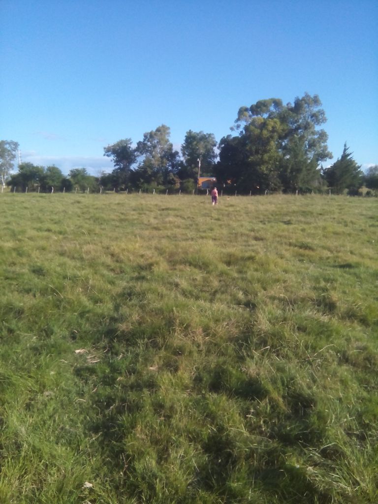 Vendo 1 Hectarea en Villa Mantero – Entre Rios