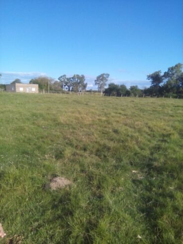 Vendo 1 Hectarea en Villa Mantero – Entre Rios