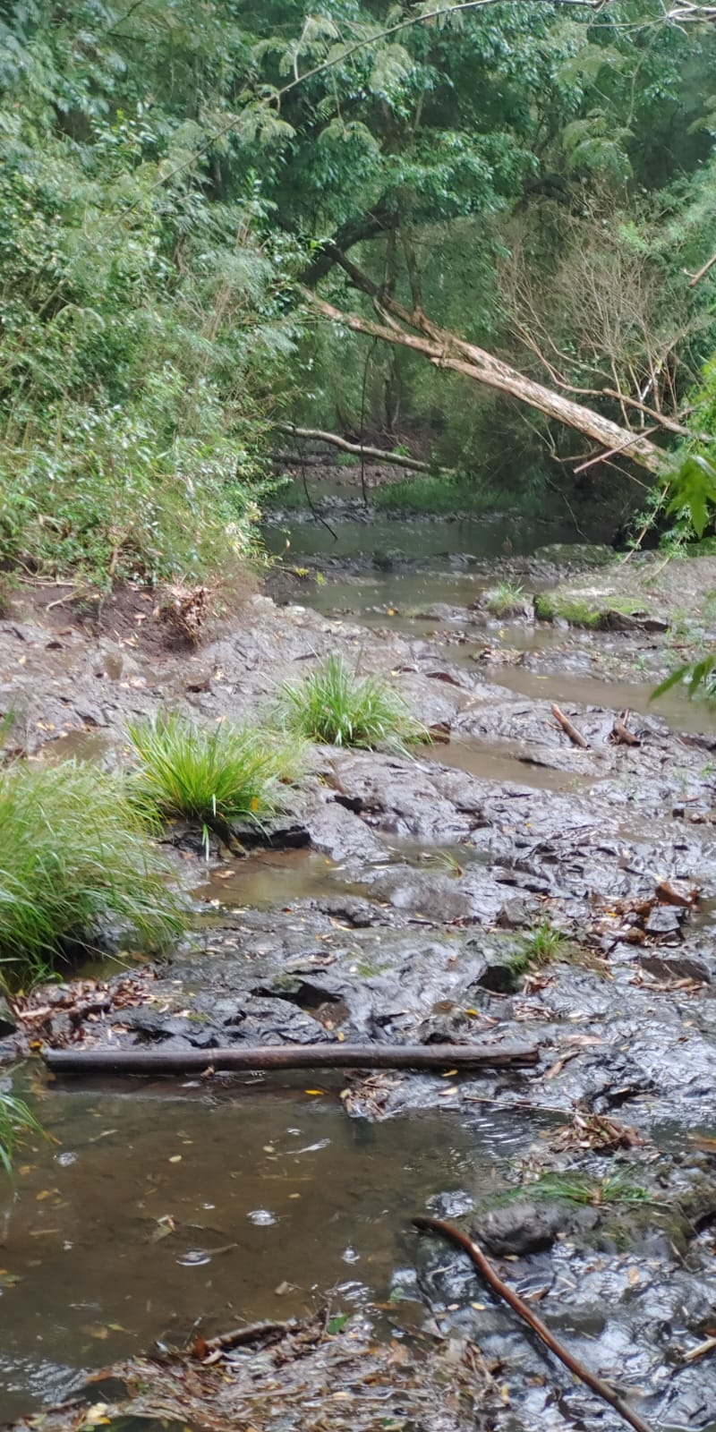 Venta de 230 Hectáreas en Municipio San José, Apóstoles, Misiones