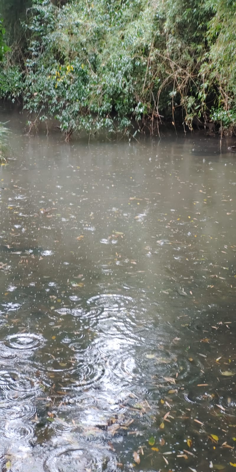 Venta de 230 Hectáreas en Municipio San José, Apóstoles, Misiones