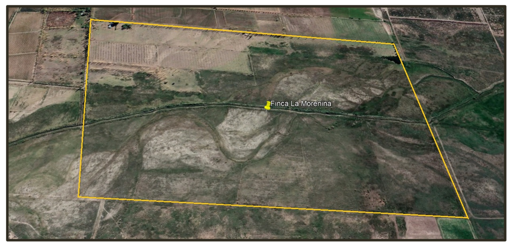 FINCA 140 HECTÁREAS EN CAÑADA SECA, SAN RAFAEL, MENDOZA