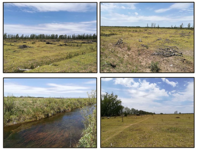 FINCA 140 HECTÁREAS EN CAÑADA SECA, SAN RAFAEL, MENDOZA