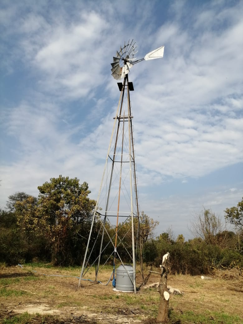 OFREZCO CAMPO APTO PARA GANADERÍA EN ALQUILER. MUY BUENA TIERRA Y PASTURA PARA ENGORDE Y CRIA