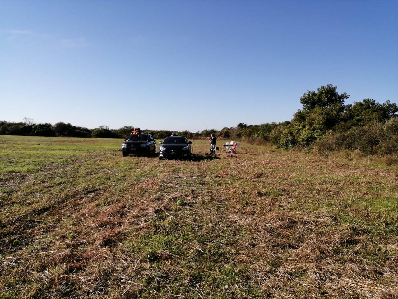 OFREZCO CAMPO APTO PARA GANADERÍA EN ALQUILER. MUY BUENA TIERRA Y PASTURA PARA ENGORDE Y CRIA