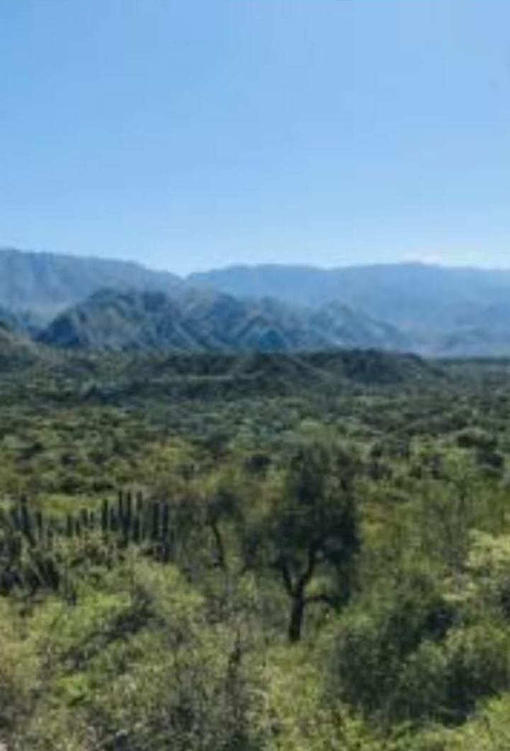 VENTA DE 2 CAMPOS EN ARGENTINA