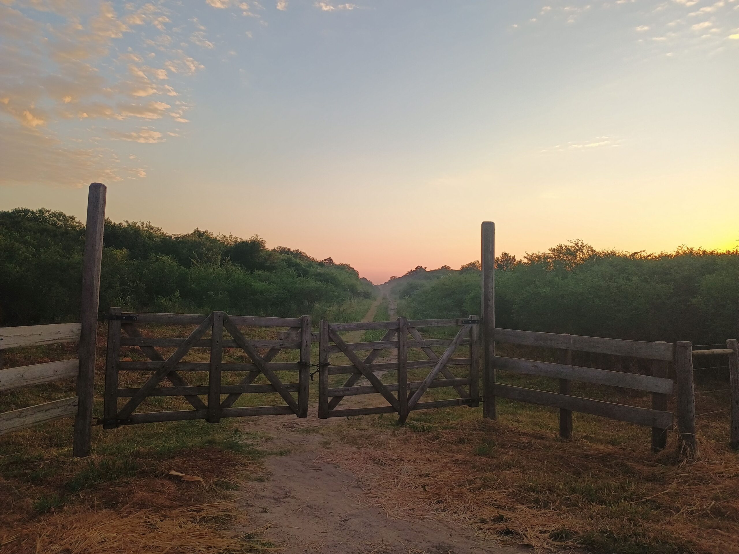 VENTA DE CAMPO EN LA ZONA DE LA LOCALIDAD DE VILLA DOS TRECE – PCIA DE FORMOSA