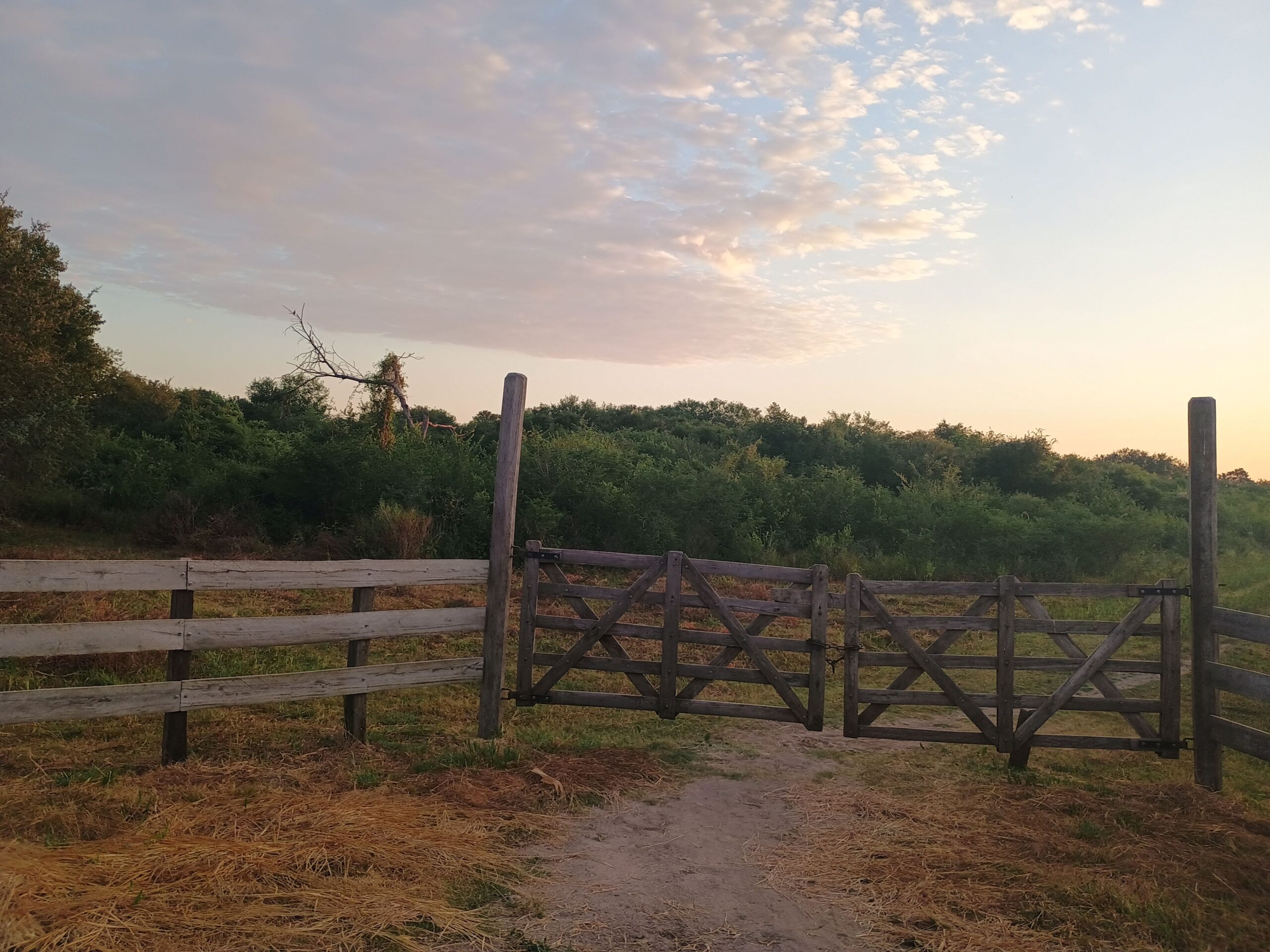 VENTA DE CAMPO EN LA ZONA DE LA LOCALIDAD DE VILLA DOS TRECE – PCIA DE FORMOSA