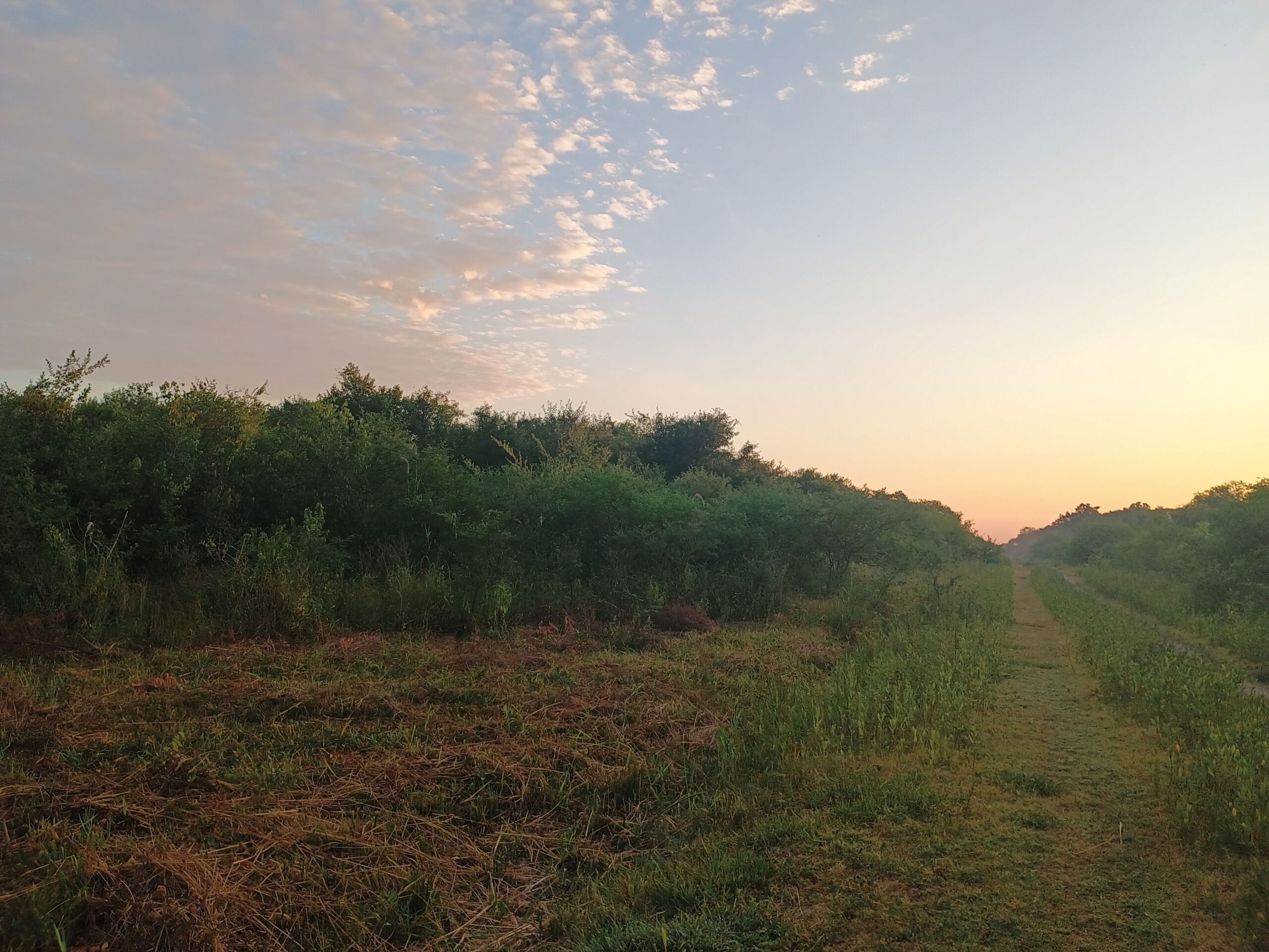 VENTA DE CAMPO EN LA ZONA DE LA LOCALIDAD DE VILLA DOS TRECE – PCIA DE FORMOSA