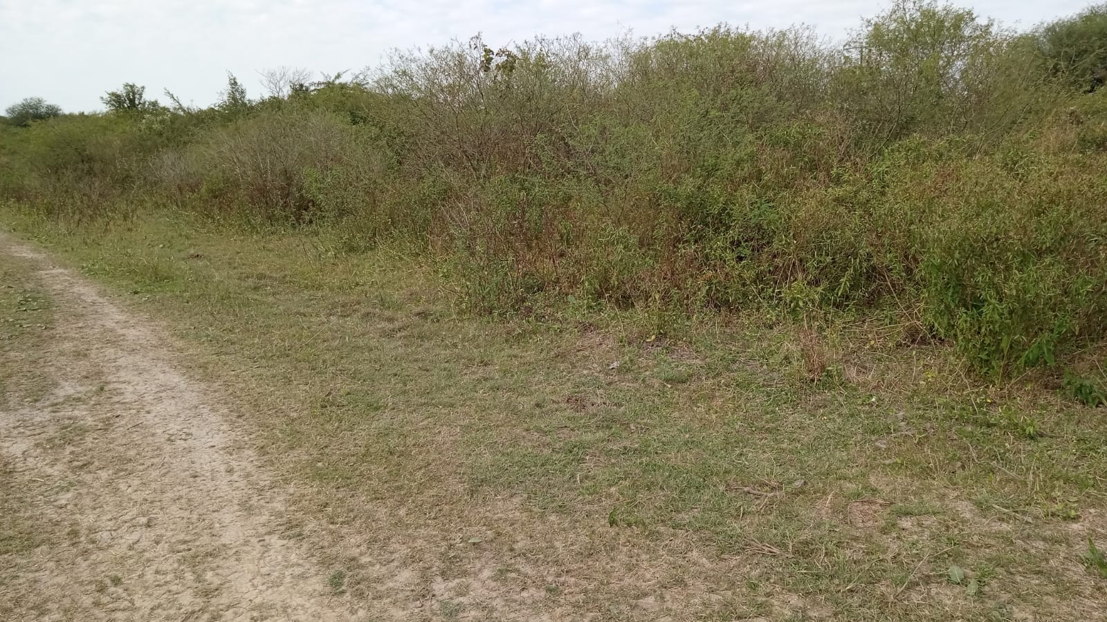 VENTA DE CAMPO EN LA ZONA DE LA LOCALIDAD DE VILLA DOS TRECE – PCIA DE FORMOSA