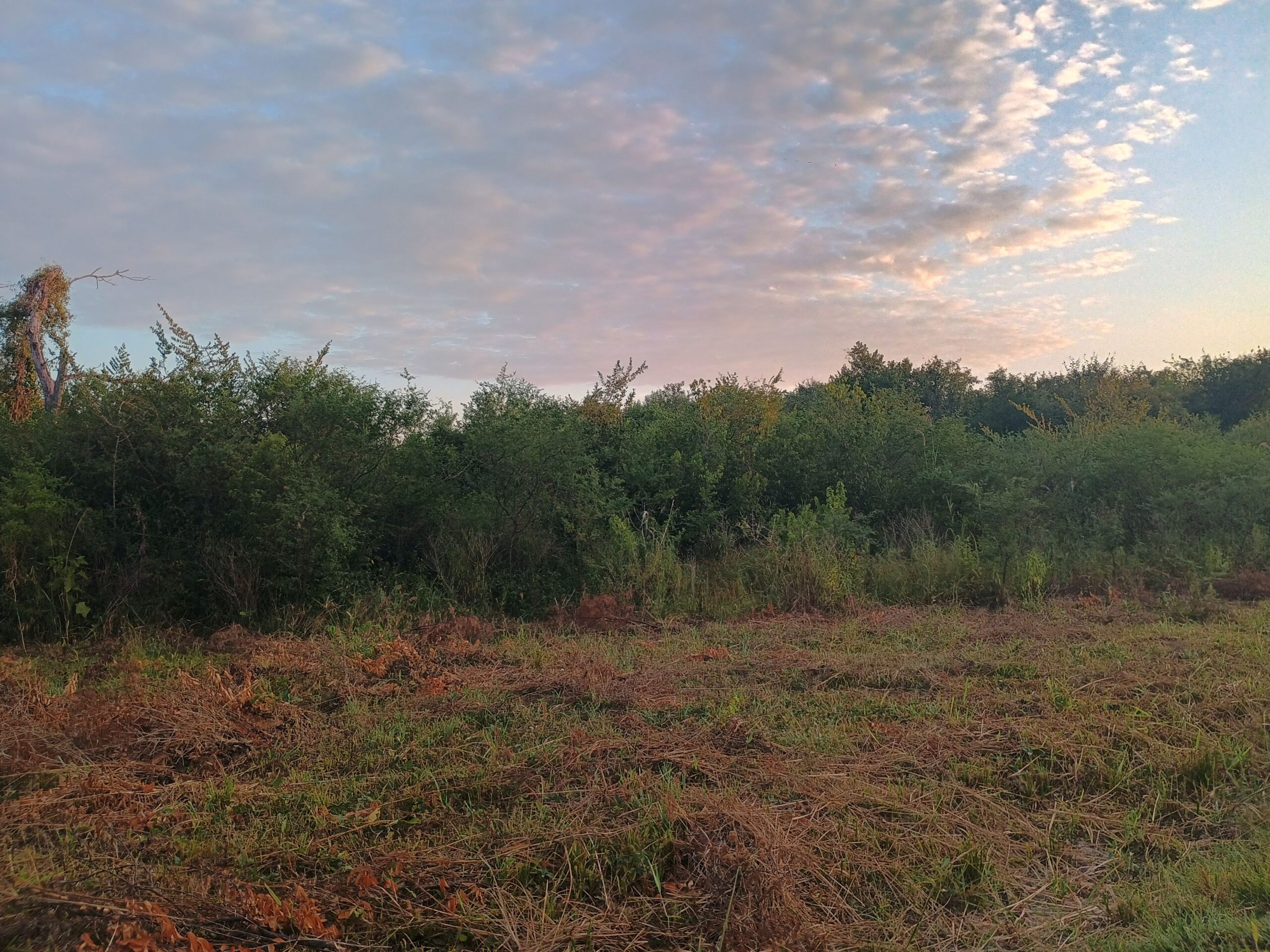 VENTA DE CAMPO EN LA ZONA DE LA LOCALIDAD DE VILLA DOS TRECE – PCIA DE FORMOSA