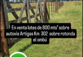 En venta lotes sobre autovía gervasio artigas provincia entre Ríos