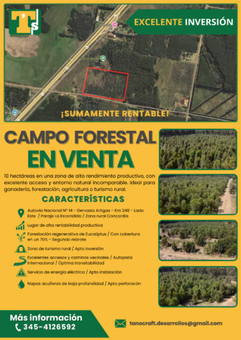 CAMPO FORESTAL ALTAMENTE PRODUCTIVO