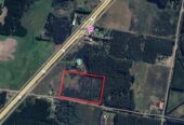 CAMPO FORESTAL ALTAMENTE PRODUCTIVO