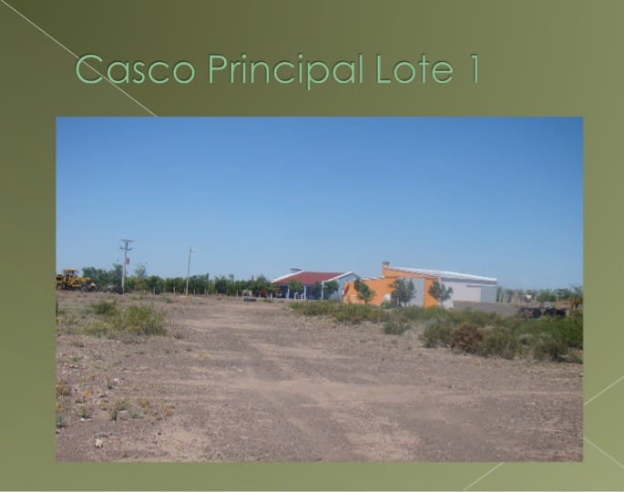 “OPORTUNIDAD” ESTANCIA LA PRIMERA EN LA PAMPA