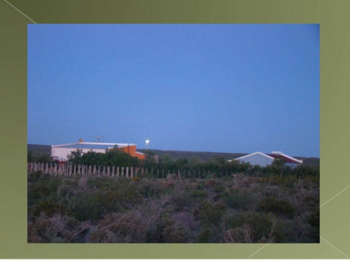 “OPORTUNIDAD” ESTANCIA LA PRIMERA EN LA PAMPA