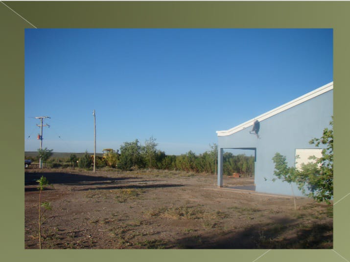 “OPORTUNIDAD” ESTANCIA LA PRIMERA EN LA PAMPA