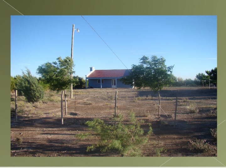 “OPORTUNIDAD” ESTANCIA LA PRIMERA EN LA PAMPA