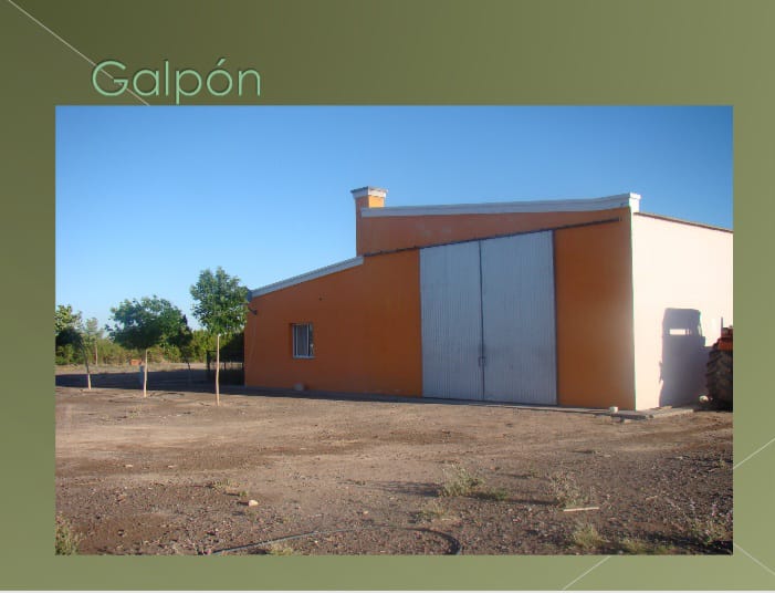 “OPORTUNIDAD” ESTANCIA LA PRIMERA EN LA PAMPA