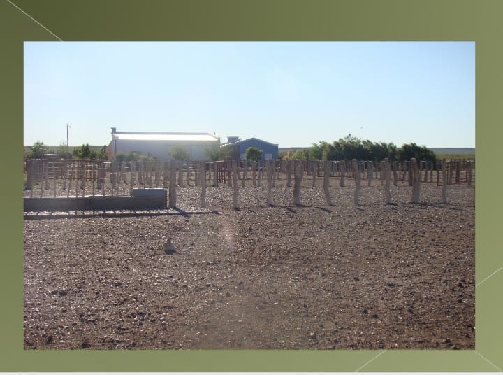 “OPORTUNIDAD” ESTANCIA LA PRIMERA EN LA PAMPA