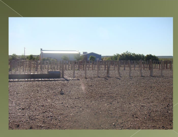 “OPORTUNIDAD” ESTANCIA LA PRIMERA EN LA PAMPA