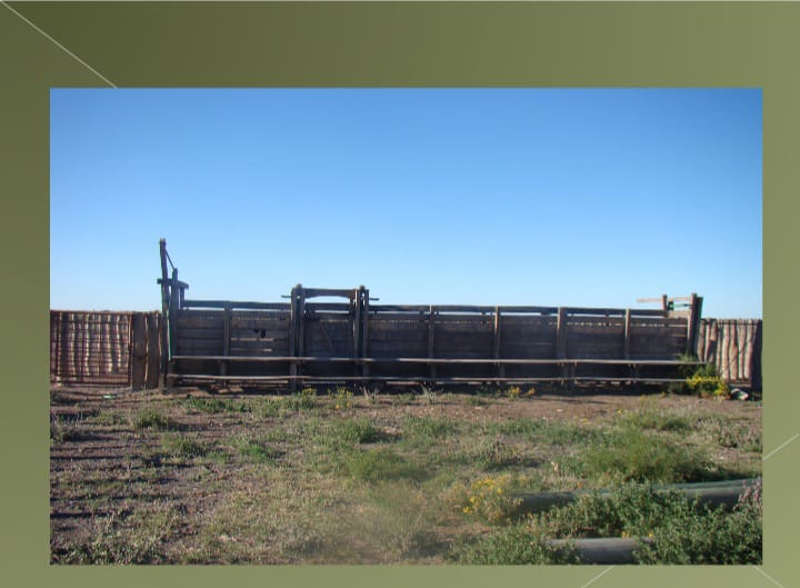 “OPORTUNIDAD” ESTANCIA LA PRIMERA EN LA PAMPA