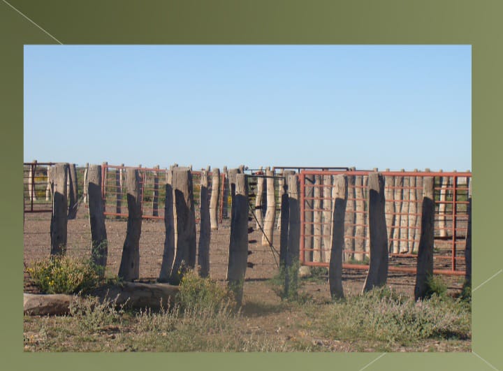 “OPORTUNIDAD” ESTANCIA LA PRIMERA EN LA PAMPA