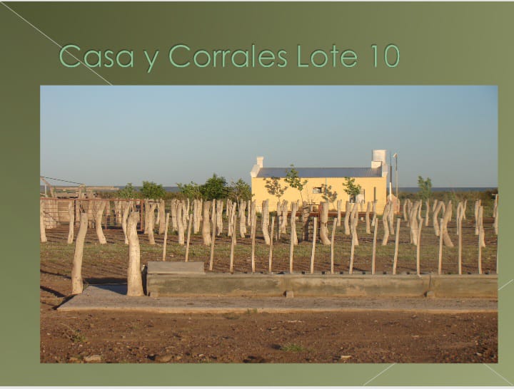 “OPORTUNIDAD” ESTANCIA LA PRIMERA EN LA PAMPA