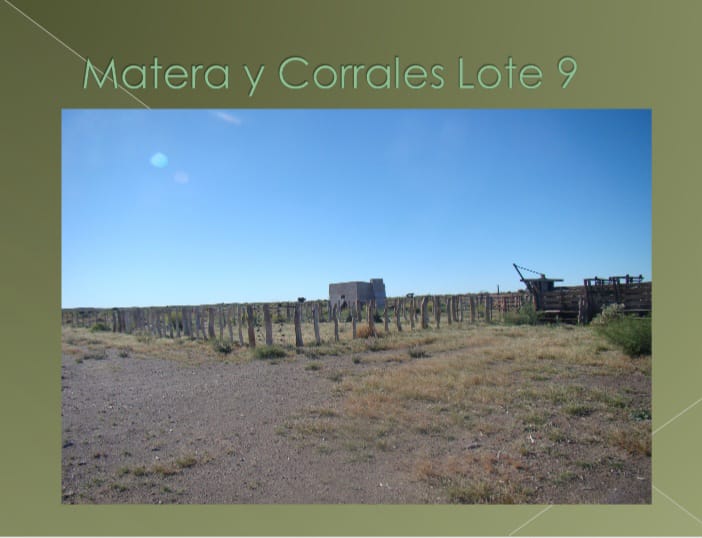 “OPORTUNIDAD” ESTANCIA LA PRIMERA EN LA PAMPA