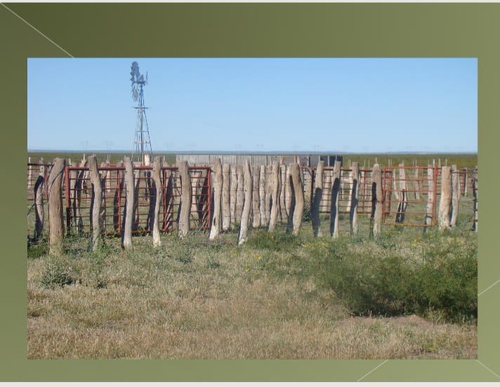 “OPORTUNIDAD” ESTANCIA LA PRIMERA EN LA PAMPA