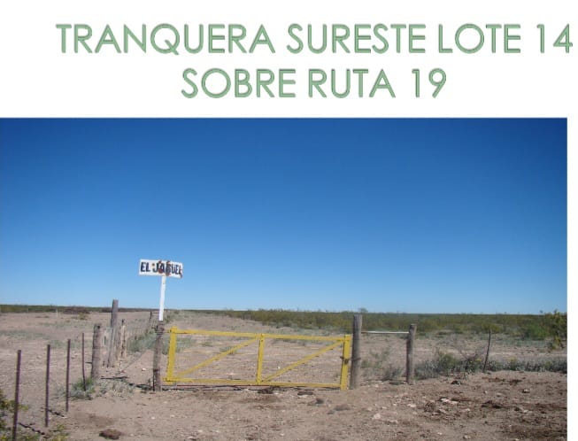 “OPORTUNIDAD” ESTANCIA LA PRIMERA EN LA PAMPA