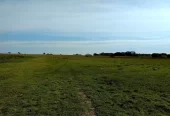 Impresionante Campo Mixto (ganadero, forestación, turismo)