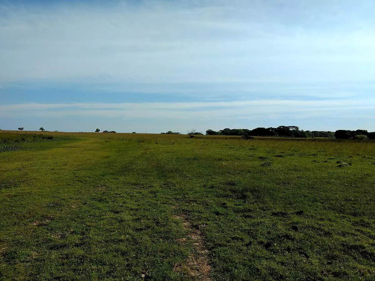 Impresionante Campo Mixto (ganadero, forestación, turismo)