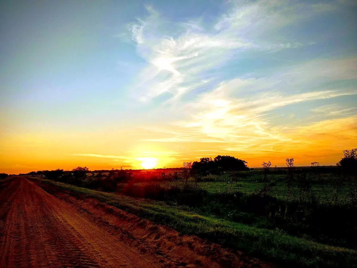 Impresionante Campo Mixto (ganadero, forestación, turismo)