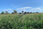 VENDO ESTABLECIMIENTO AGRO GANADERO EN PARAGUAY