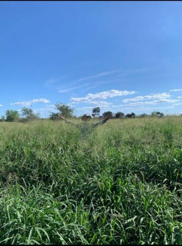 VENDO ESTABLECIMIENTO AGRO GANADERO EN PARAGUAY