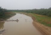 VENDO ESTABLECIMIENTO AGRO GANADERO EN PARAGUAY