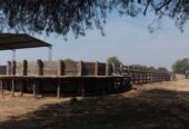 VENDO ESTABLECIMIENTO AGRO GANADERO EN PARAGUAY