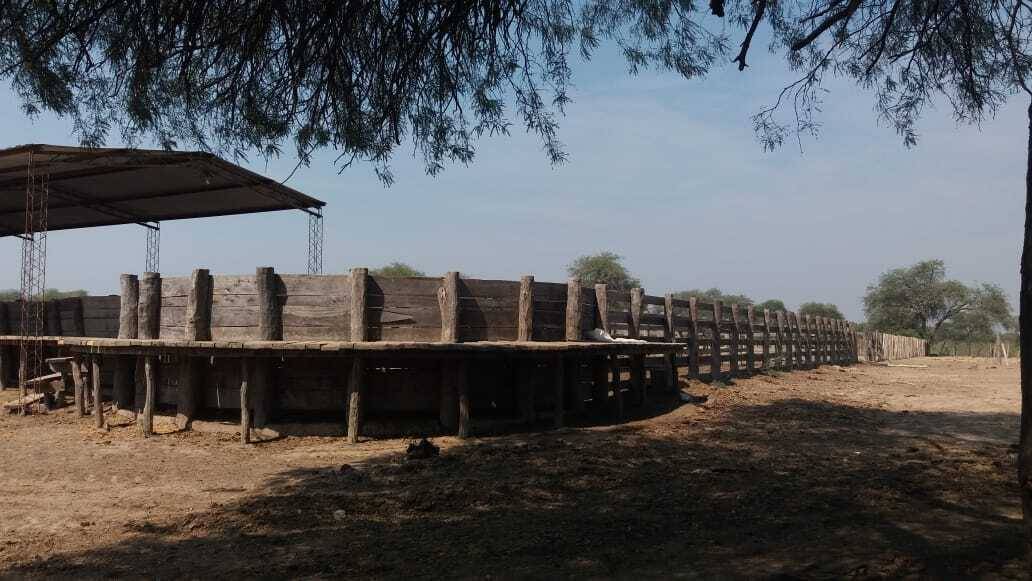 VENDO ESTABLECIMIENTO AGRO GANADERO EN PARAGUAY